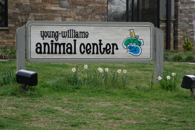 Young Williams Animal Center achieves 'no-kill' status - YWAC is local to East Tennessee area serving the Knox County area. This is a huge milestone for pet centers.
